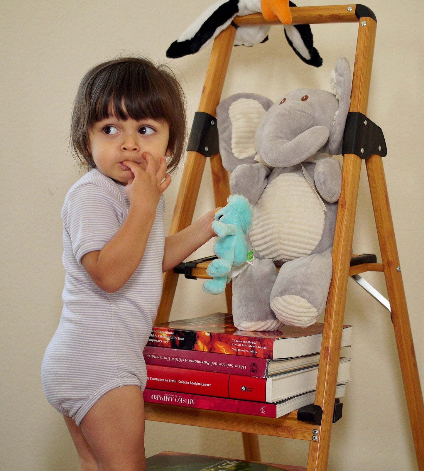 Organic Cotton Short Sleeved Onesie/Bodysuit