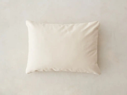 Organic Cotton Dust Mite Encasement Barrier Cover for Pillows