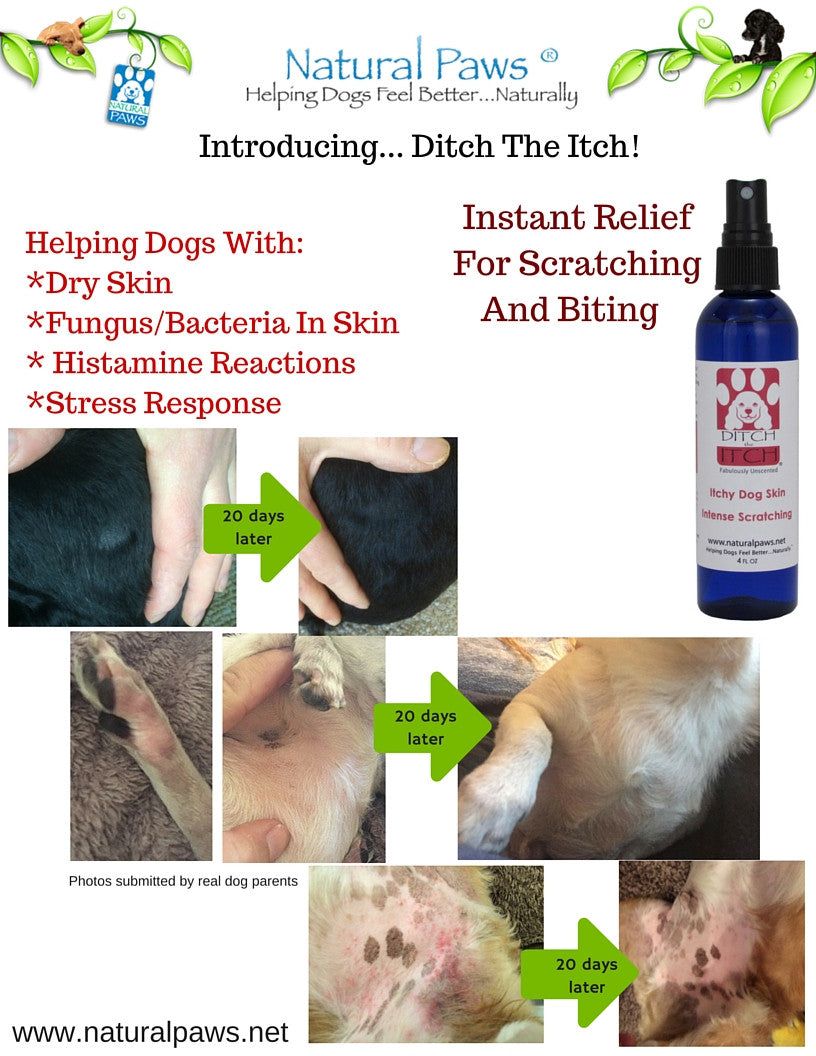 DITCH THE ITCH DOG SPRAY