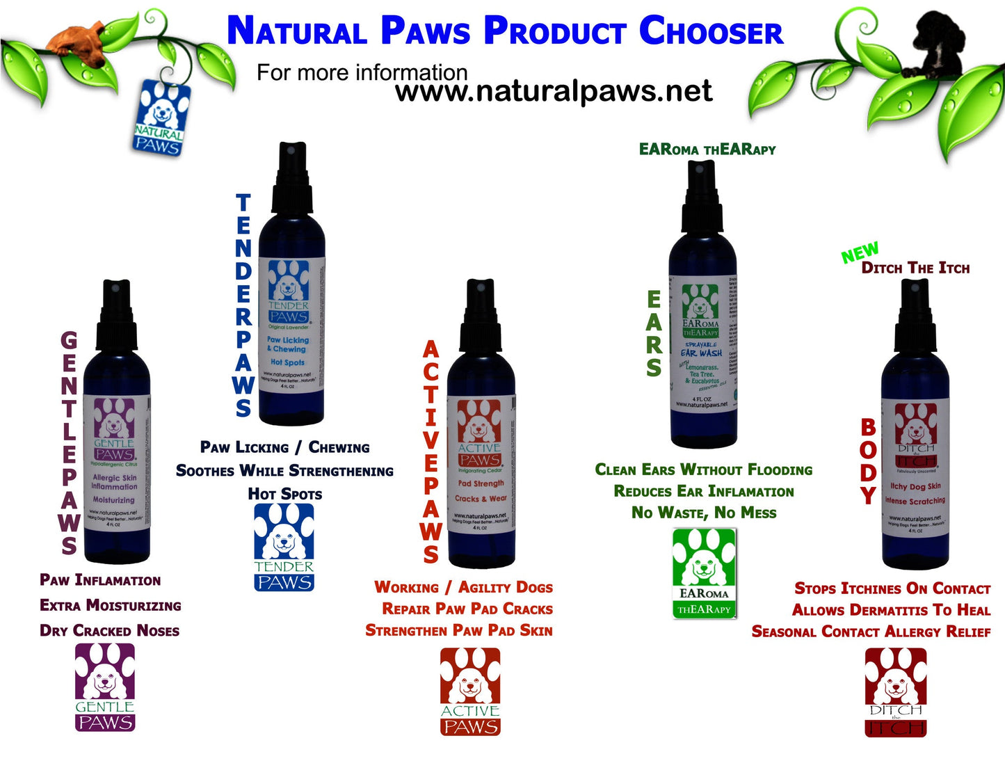 EAR WASH SPRAY