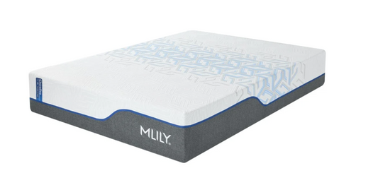 ChiroPro 1.0 13 inch Firm Zoned Hybrid Mattress