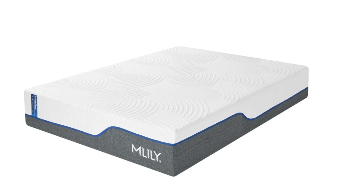 WellFlex 1.0 Firm 12 inch Mattress