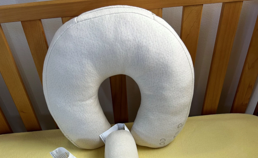 Organic Neck and Travel Pillow