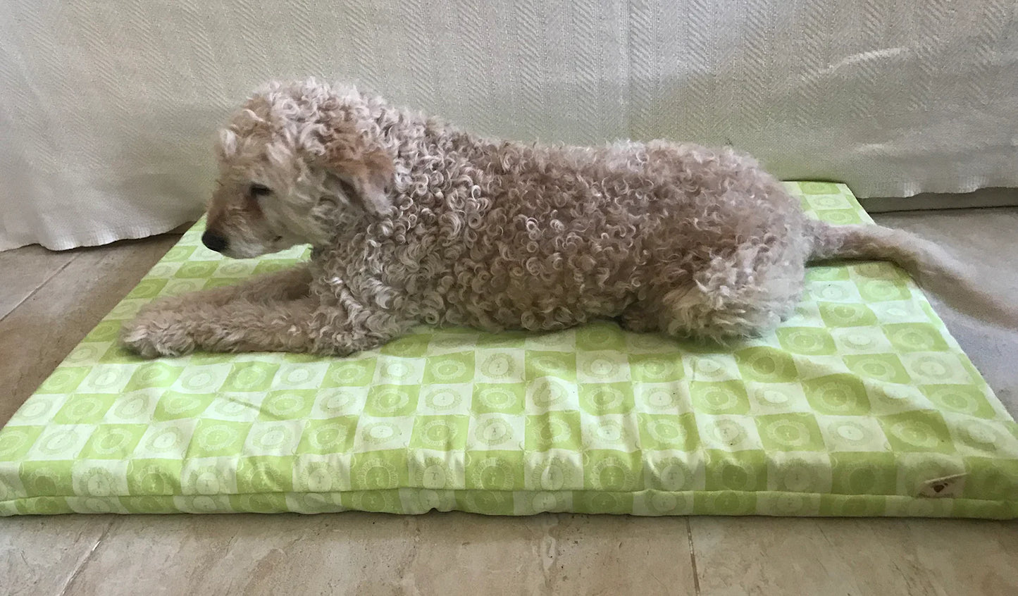 Rectangular Shaped Organic Latex Pet Bed or Floor Seating