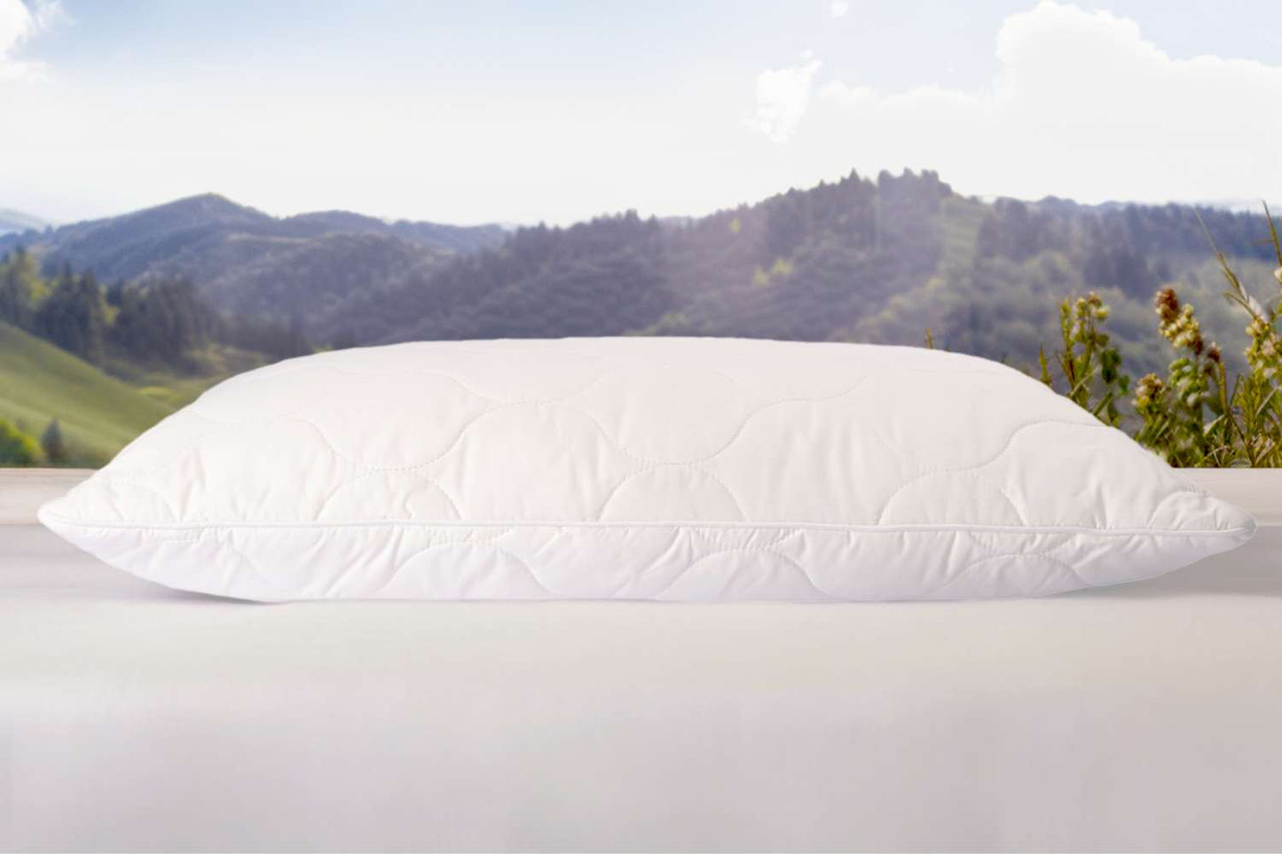 MyWooly Pillow®