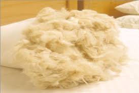Kapok Filled Organic Cotton Pillow