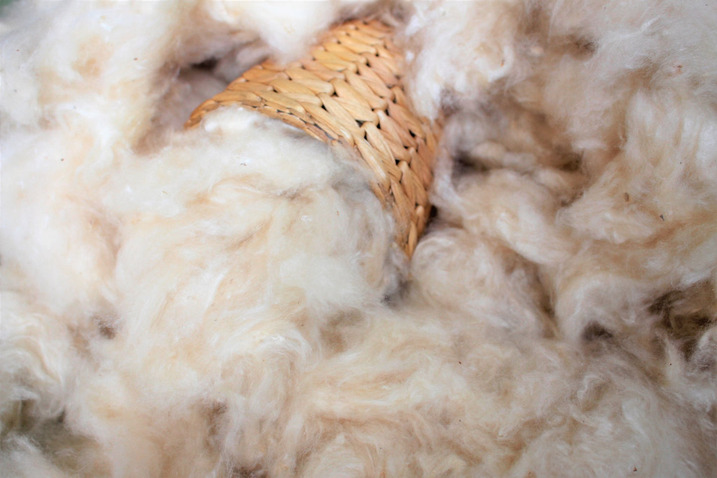 Kapok Fiber Pillow FIll - Cleaned and Ready