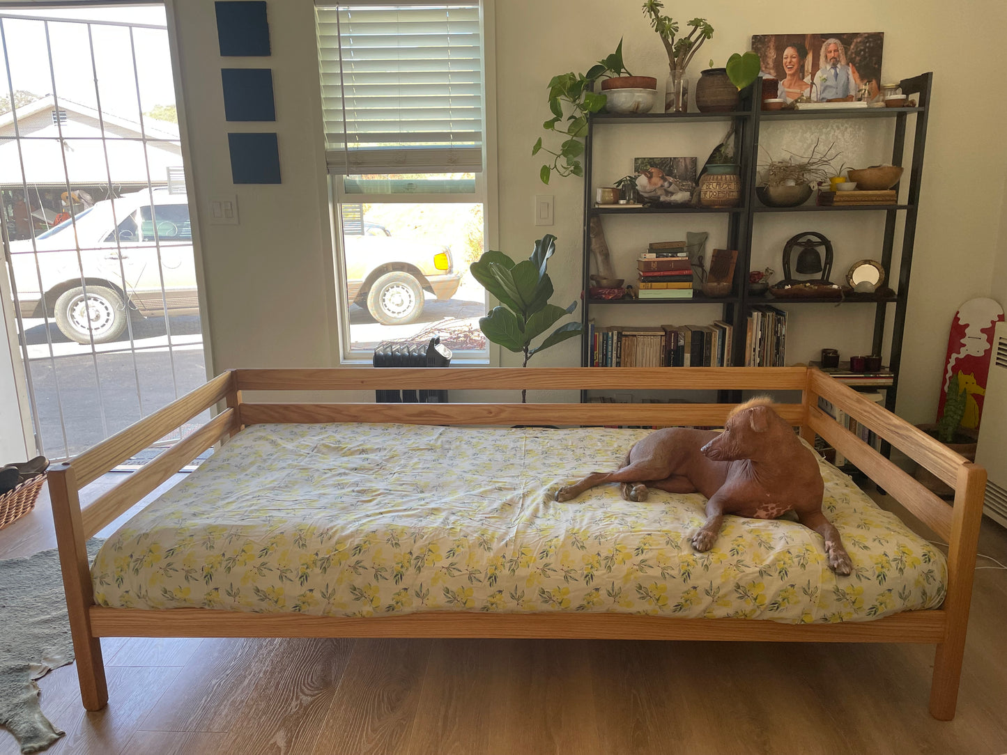 Forest Park Organic Solid Wood Daybed