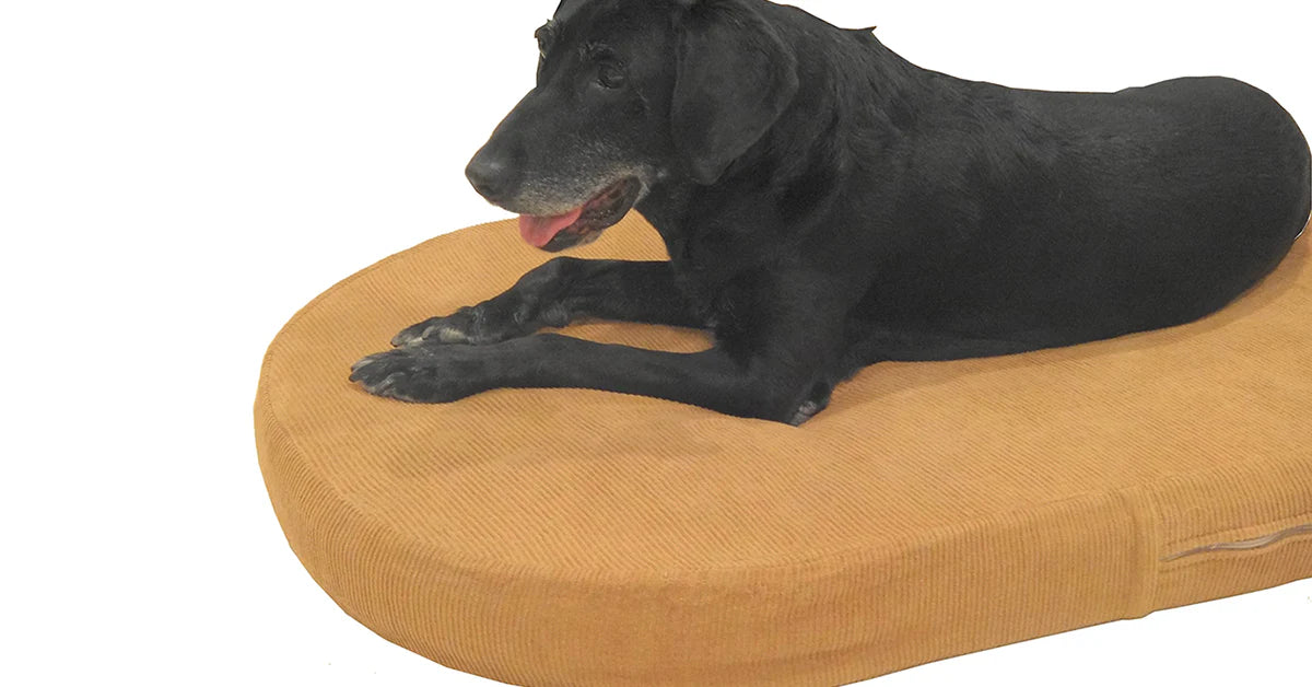 Oval Shaped Organic Latex Pet Bed or Floor Seating