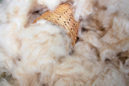 Kapok Fiber Pillow FIll - Cleaned and Ready