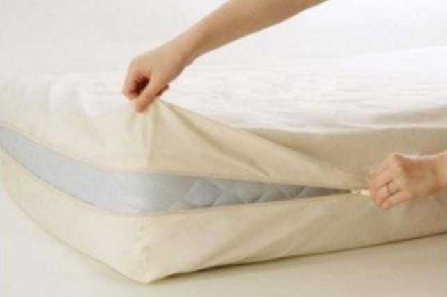 Organic Cotton Dust Mite Encasement Barrier Cover – 14-15 inch Depth